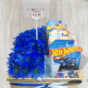 Canasta Hot Wheels Azul Royal